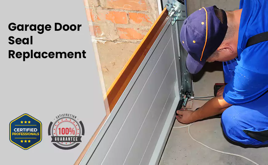 Garage Door Seal Replacement in Phoenix, AZ